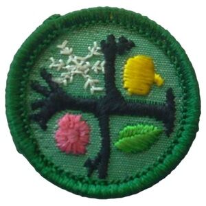 Vintage 1964 Girl Scouts Badge - Round 1.5”